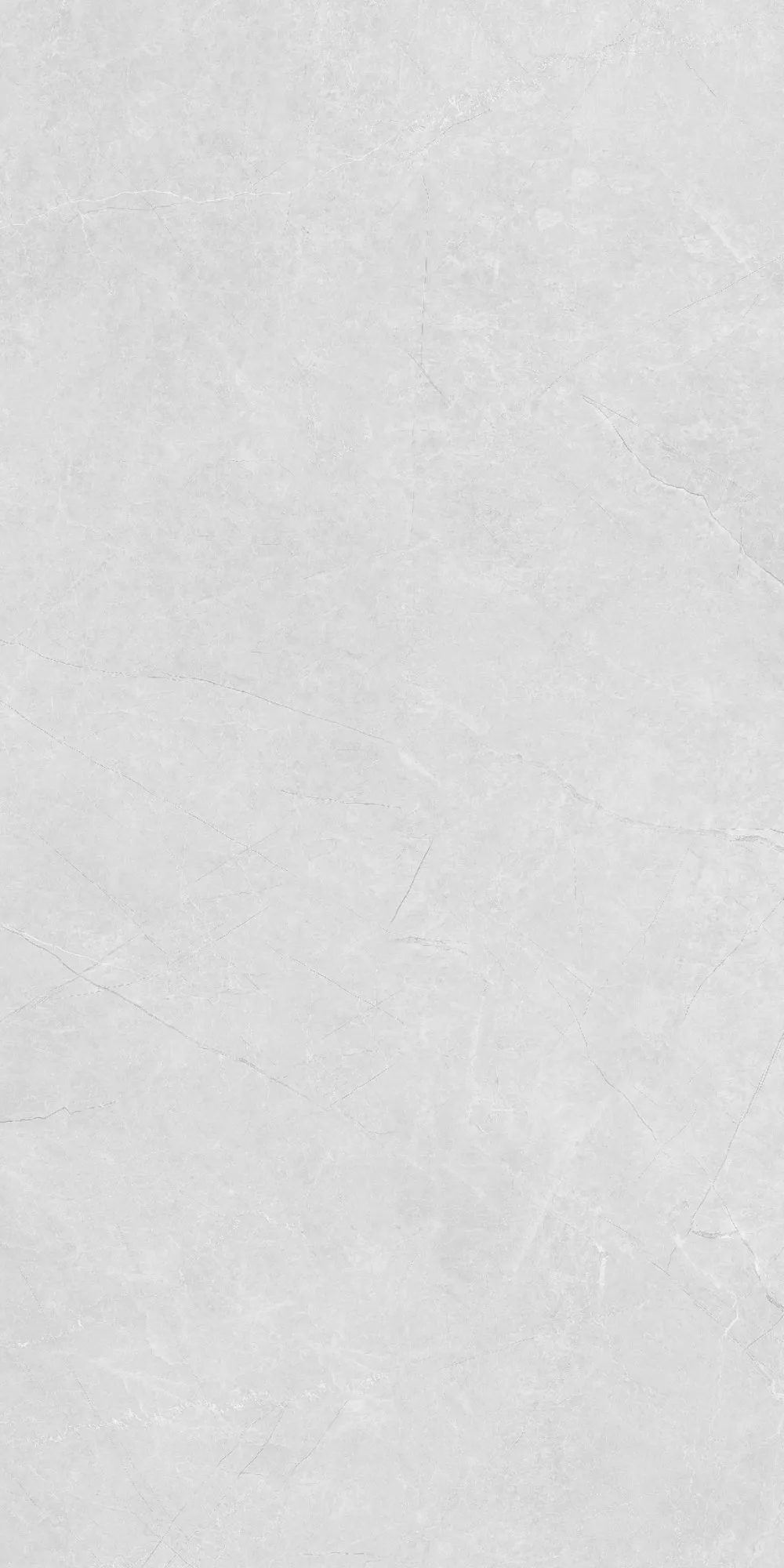 U2-P81602