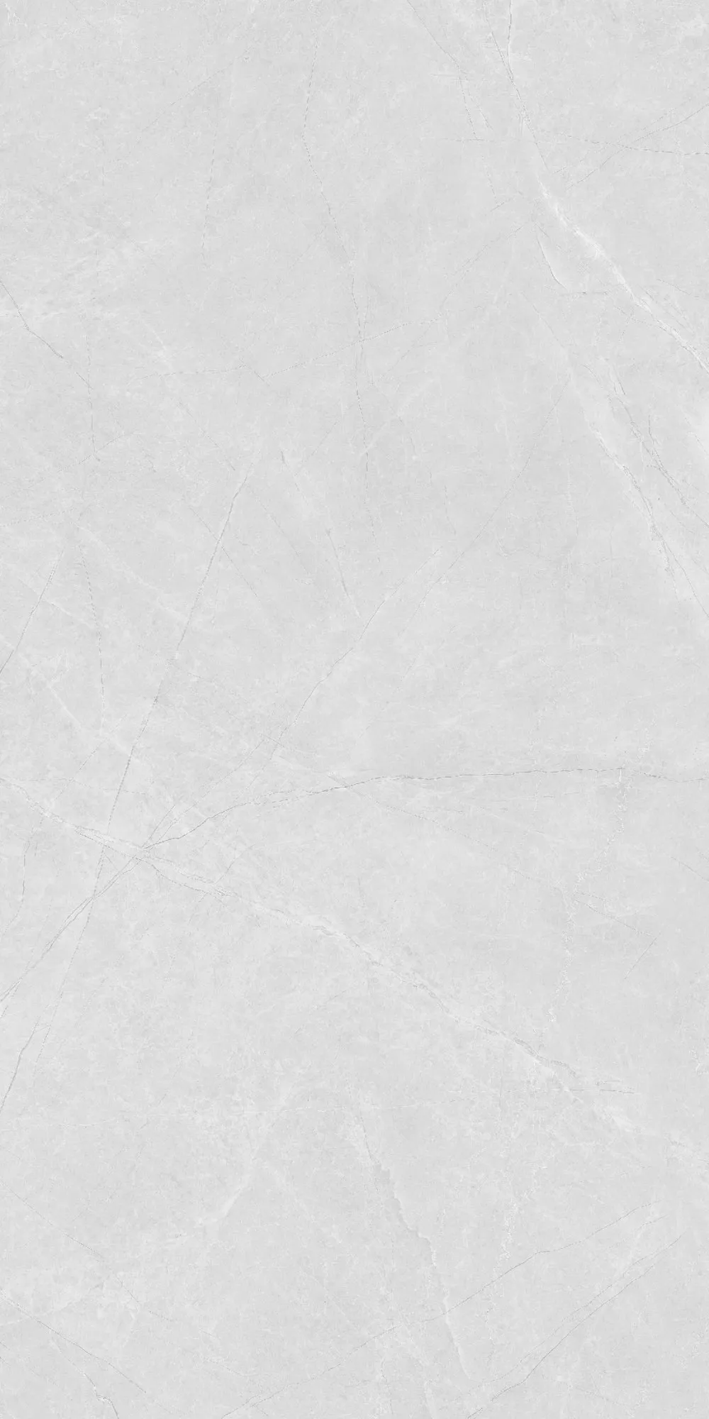 U2-P81602