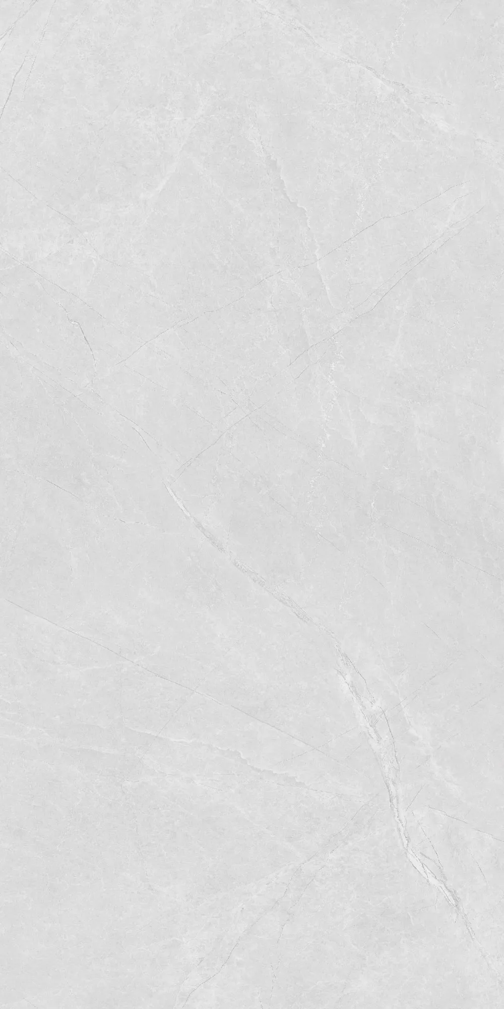 U2-P81602