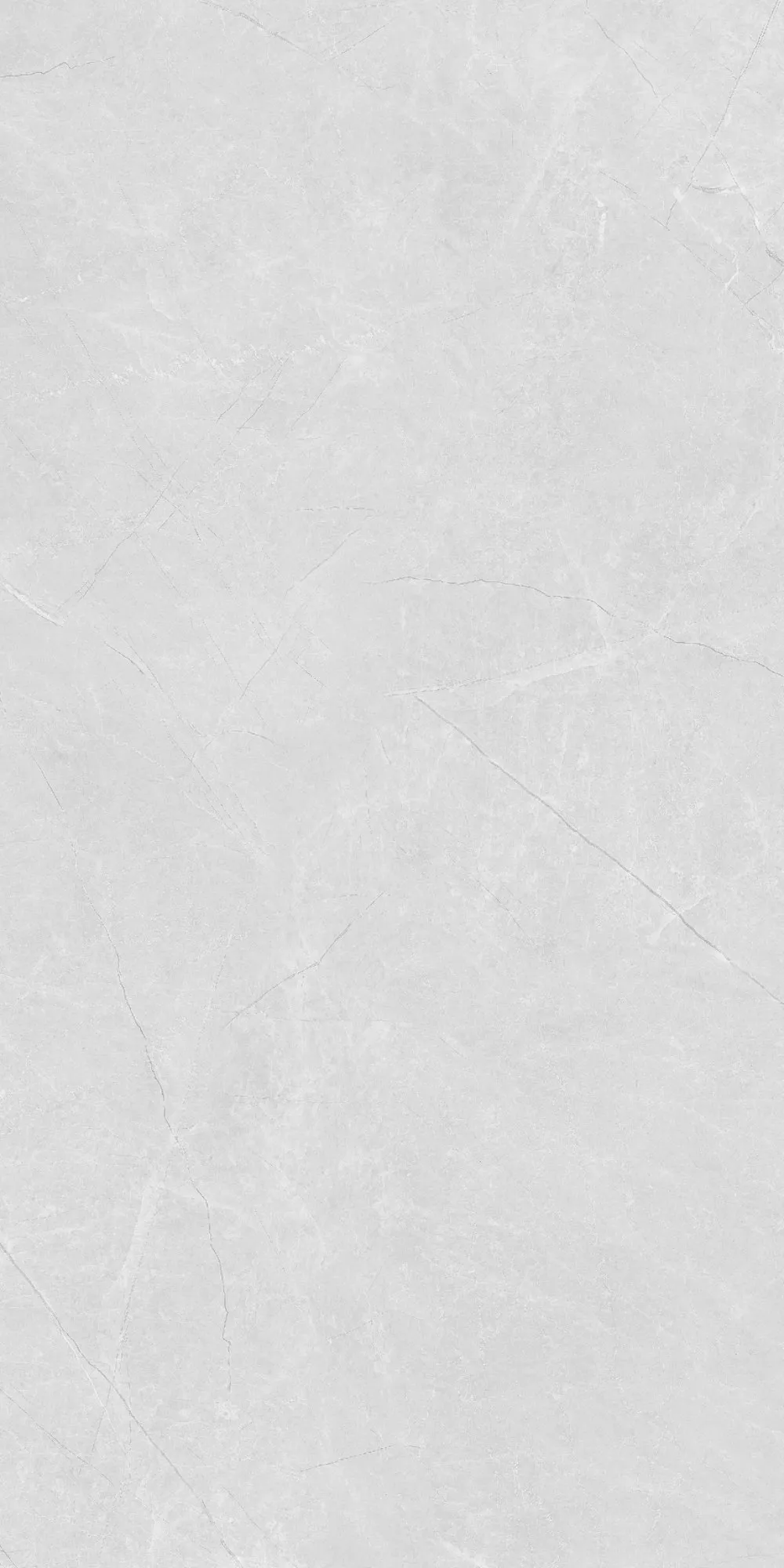 U2-P81602