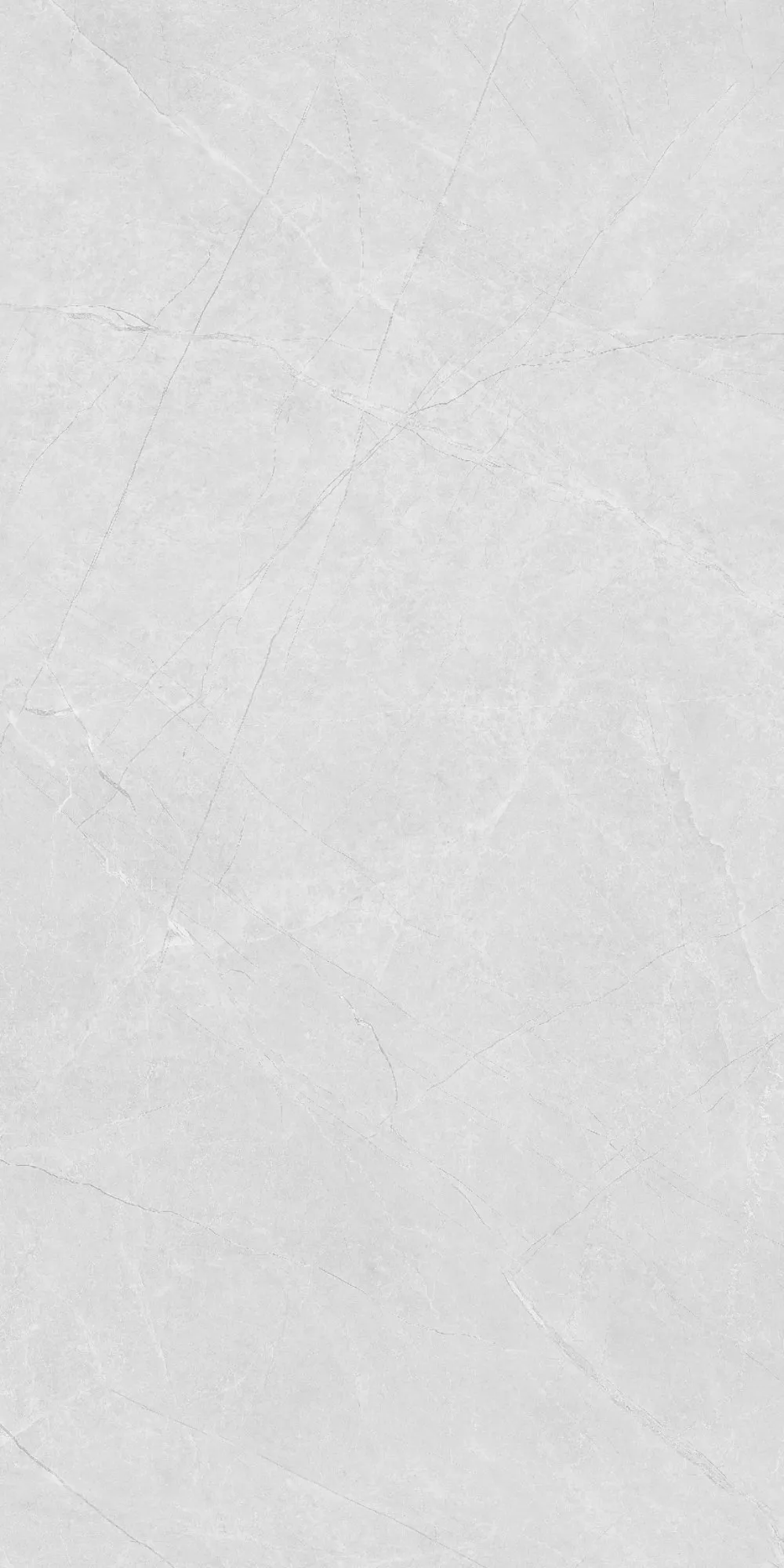 U2-P81602