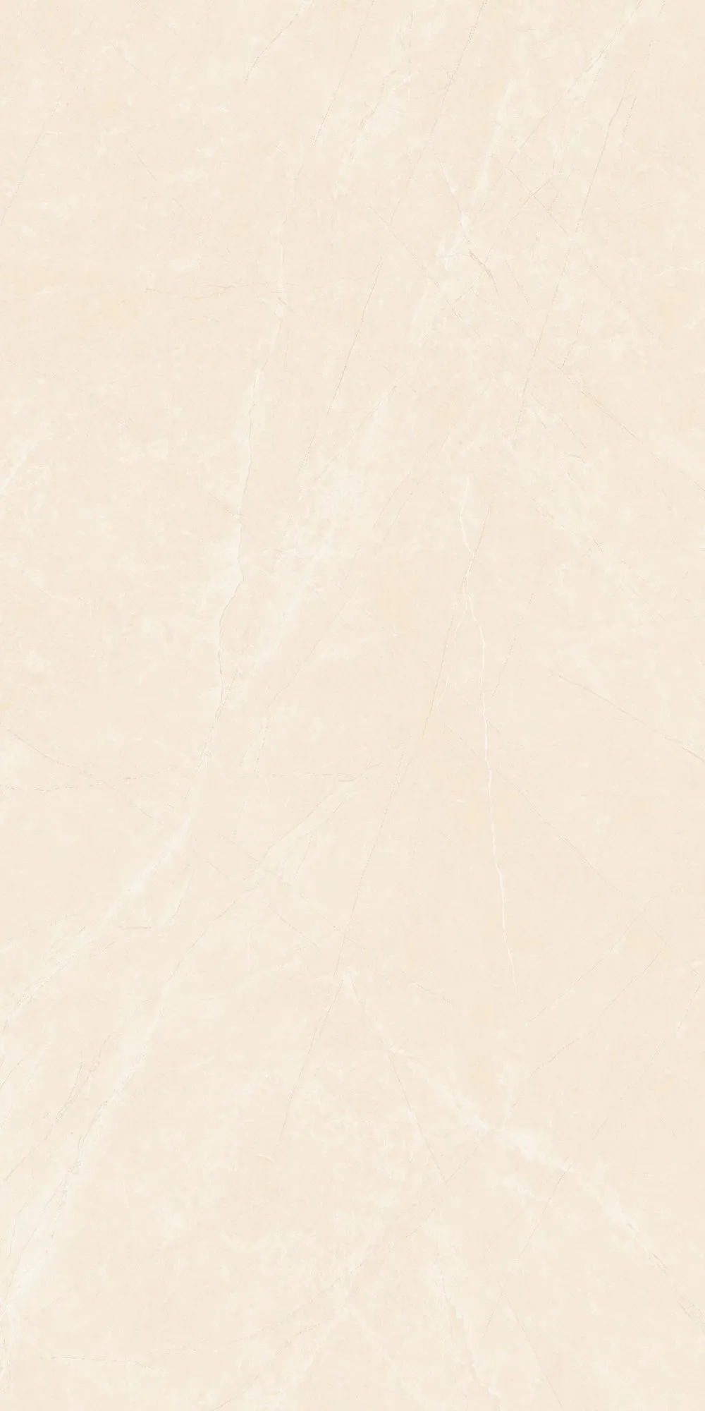 U2-P81604