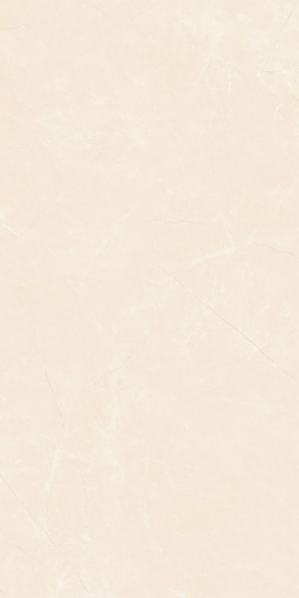 U2-P81604