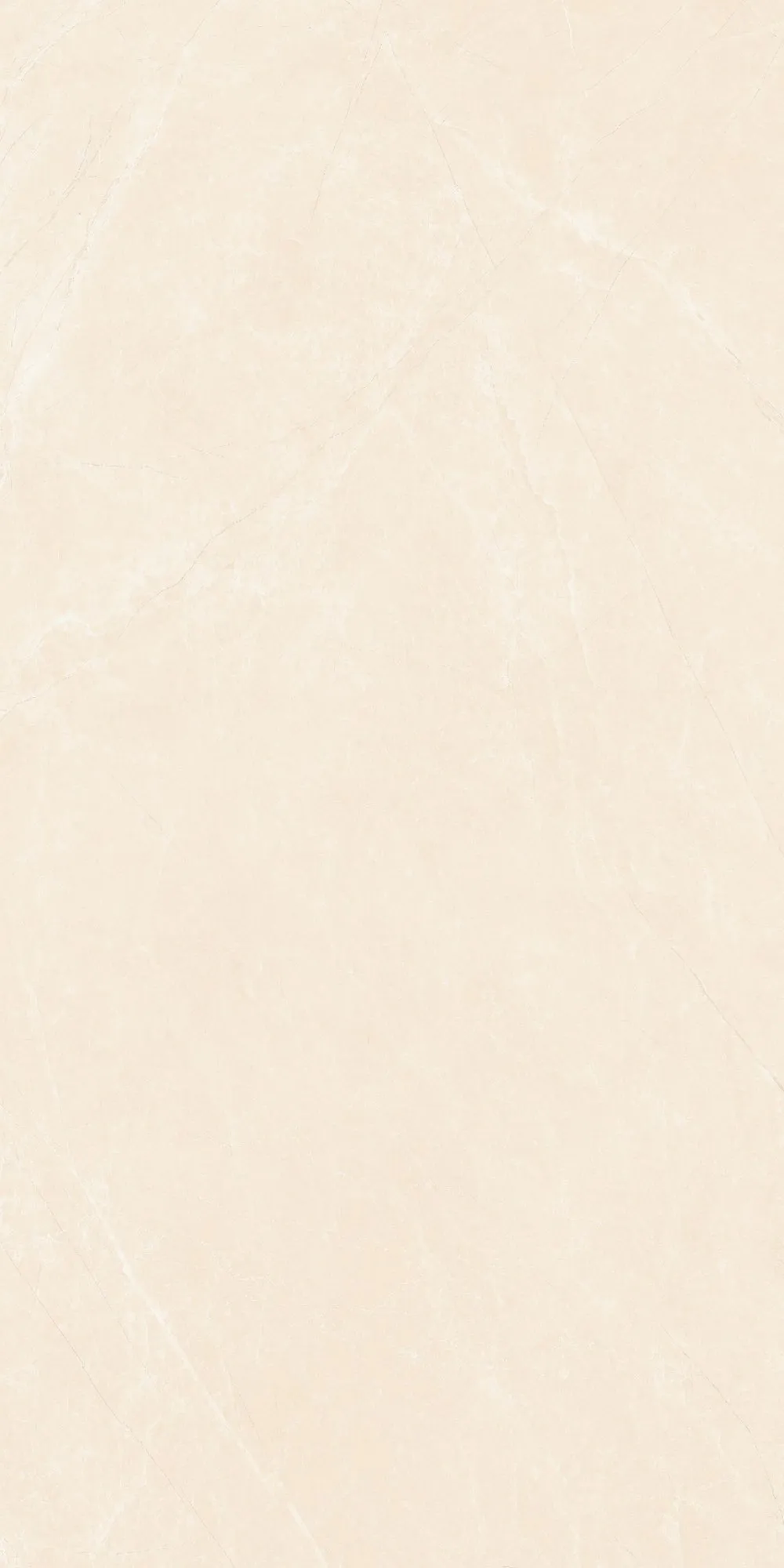 U2-P81604