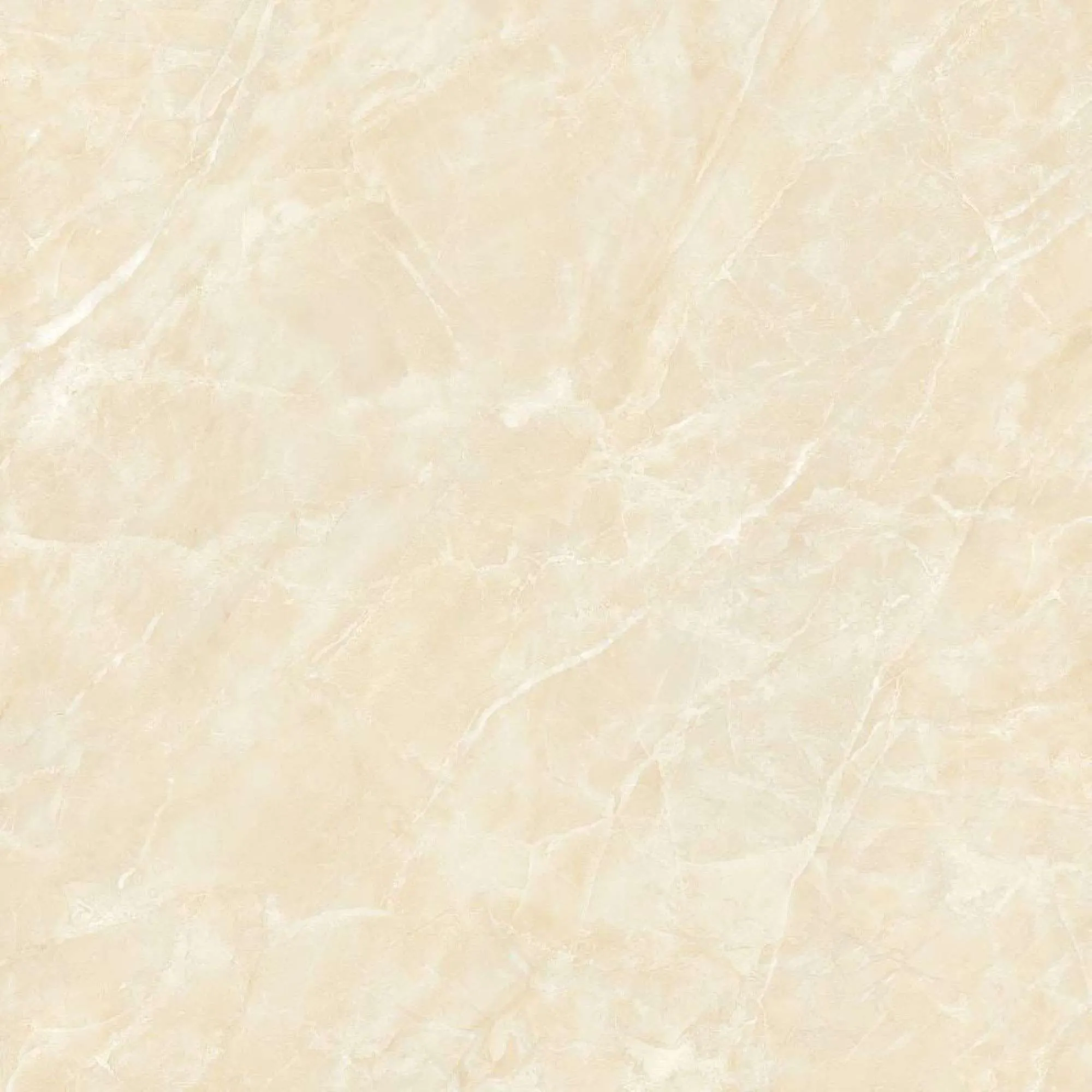 ECOS822
