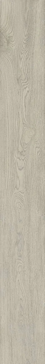 V26GC21601