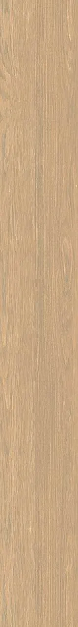 V26GC21603