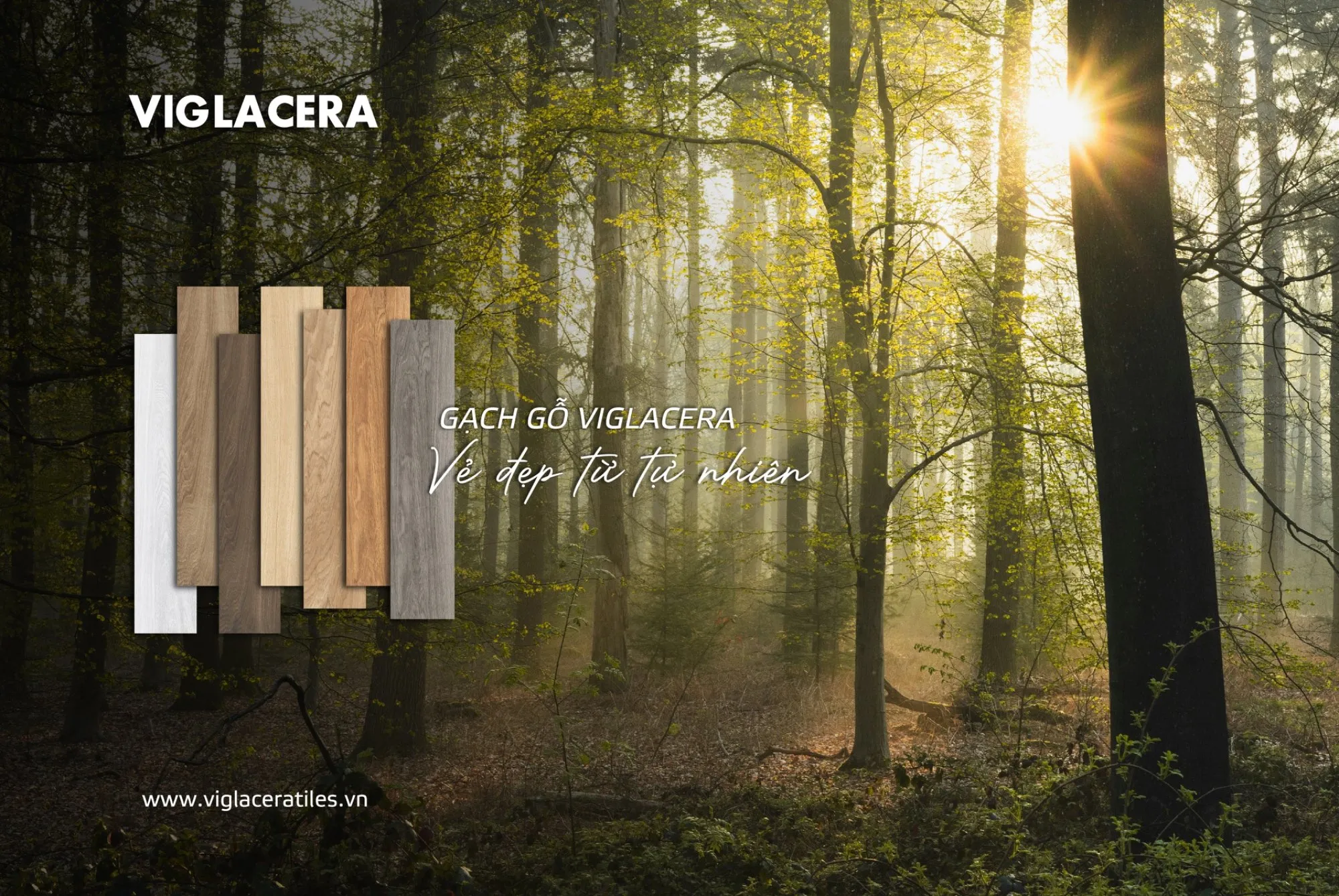 VIGLACERA WOOD-LOOK TILES: BRINGING THE ESSENCE OF NATURE TO MODERN URBAN LIVING
